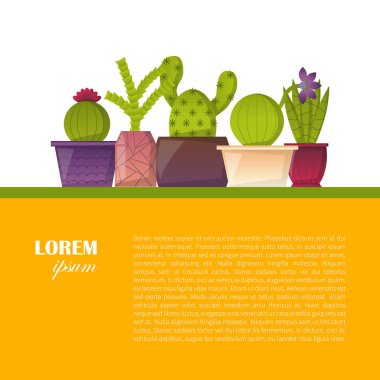 Vektör çizgi film ev bitki kaktüs arka plan