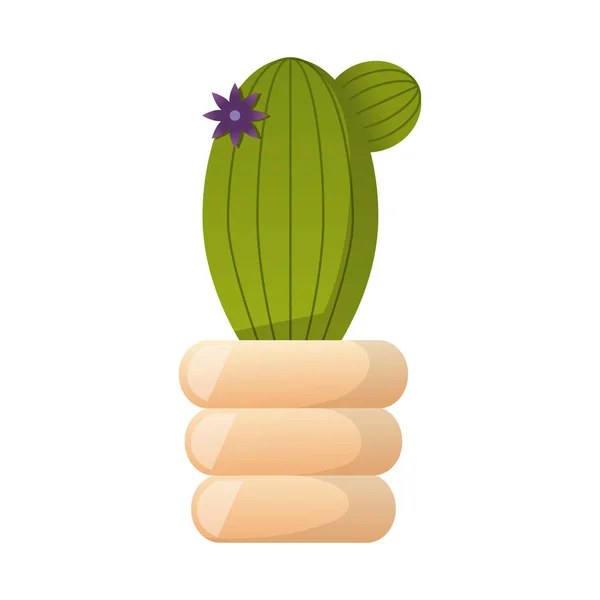 Vector de dibujos animados casa planta cactus icono — Vector de stock