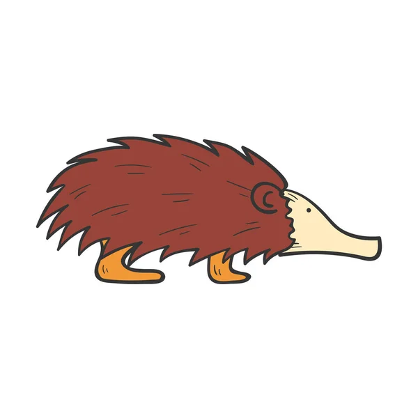 Vetor desenho animado mão echidna desenhado — Vetor de Stock