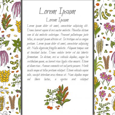 Vektör el çekilmiş yulaf lapası hububat arka plan