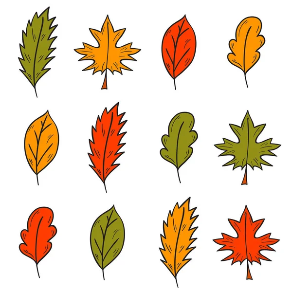 Vector cartoon hand drawn colorful autumn leaves — Stock Vector