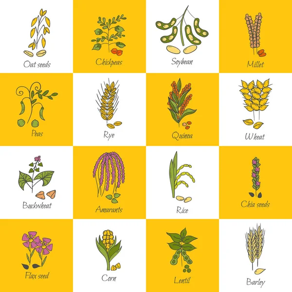 Vektor Hand gezeichnet Getreidebrei Symbole — Stockvektor