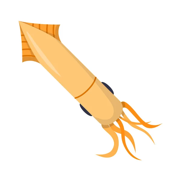 Vector de dibujos animados aísla calamares — Archivo Imágenes Vectoriales