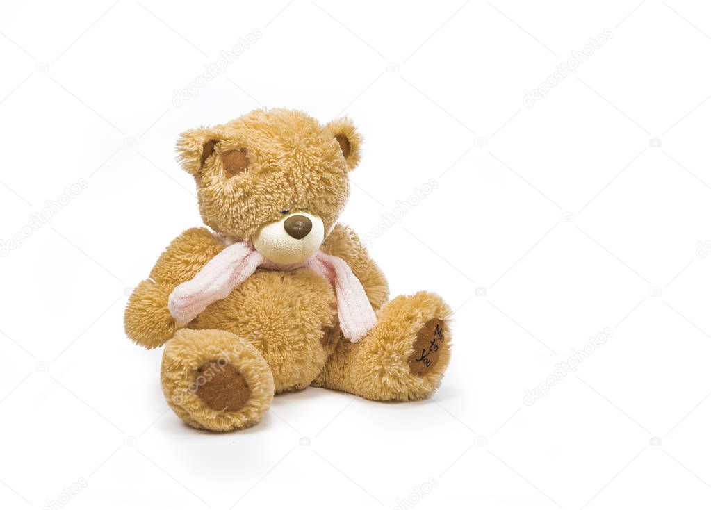 Teddy bear, soft toy