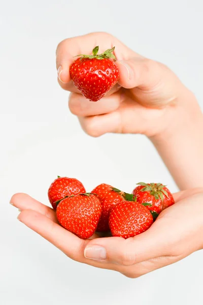 Primer plano de fresas rojas frescas con licencia verde en mano de mujer — Foto de Stock