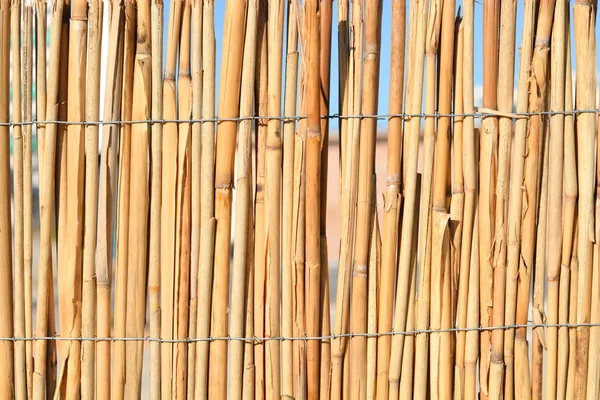 Valla de bambú o caña con cielo azul —  Fotos de Stock