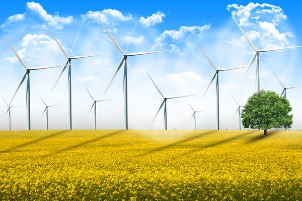 Energia szélturbinák spinning a mezőgazdasági területen, egy nyári napon — Stock Fotó