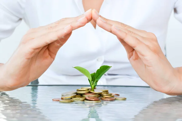 Businesswoman hands covering a pile of coins with growing plant suggesting economy protection