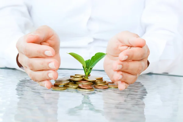 実業家の手経済保護を示唆して植物の成長とのコインの山をカバー — ストック写真