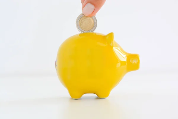 Woman hand putting money in a piggy bank — Stock Photo, Image