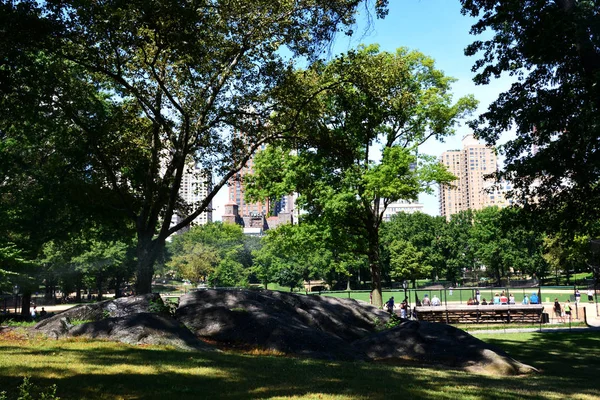 Vysoké stoupající budov kolem Central Park léto — Stock fotografie