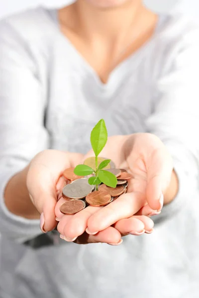 Woman with her hands cupped holding coins and a growing plant