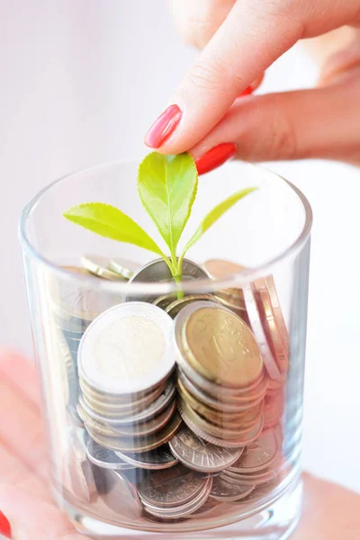 Az érmék, ami arra utal, sikeres befektetési megtakarítási zöld növény — Stock Fotó