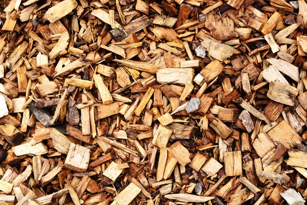 Textura de astillas de madera utilizadas para la cobertura del suelo en el jardín —  Fotos de Stock