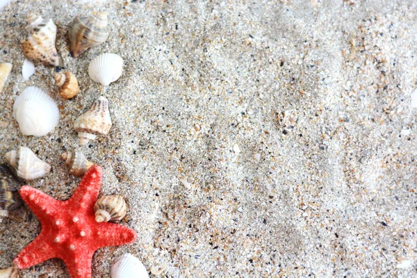 Písek nebo beach pozadí s hvězdice a mušle — Stock fotografie