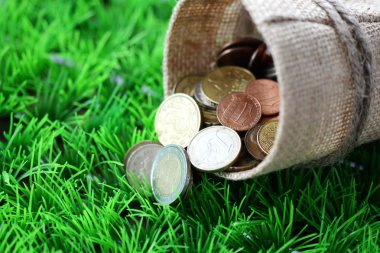 Para yeşil çim ile Sivas'tan gelen çanta