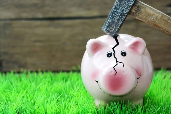 Broken piggy bank by hammer, financial crisis concept