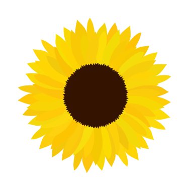 Vektör doodle ayçiçeği çizim