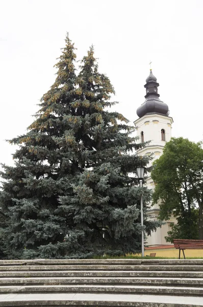 Bâtiment dyyatsezialnoy kuriii Diocèse de Pinsk. Bélarus — Photo