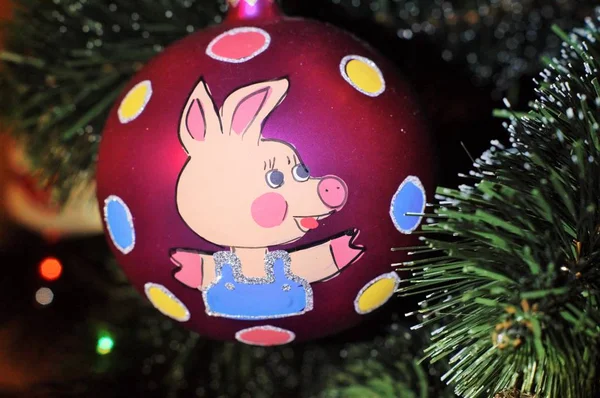 Noel ağacında domuz resmi olan bir top.