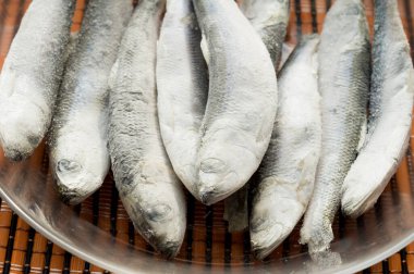 Capelin. Donmuş balık tabakta yatıyor.