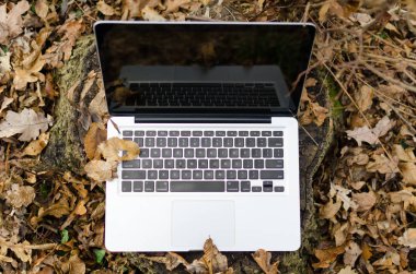 Orman içinde laptop üzerinde çalışıyor
