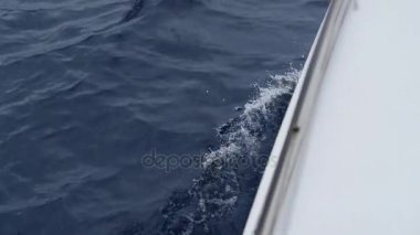 Dalgalardan tekne okyanusa.