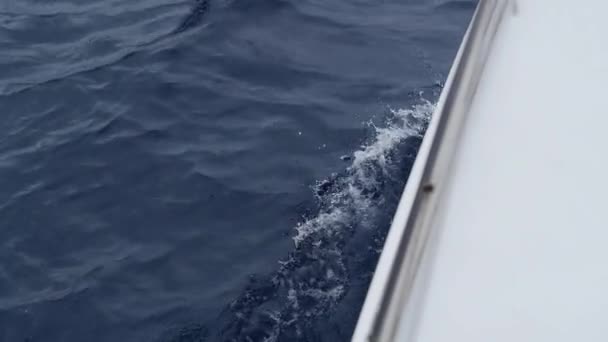 Vågor av från båten i havet. — Stockvideo