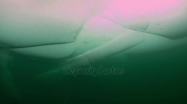 Sibirya, Rusya Baykal Gölü sualtı buz benzersiz manzara.