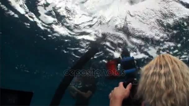 Penyelam dan kapal selam di bawah air di Samudera Pasifik. Pandangan ke dalam. Proses menukik . — Stok Video