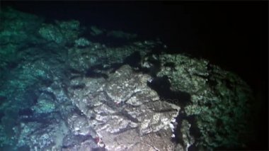 Doğal peyzaj sualtı Pasifik Okyanusu. Denizaltı.