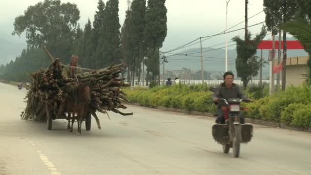 Man rijdt een paard op de weg naar het dorp. — Stockvideo