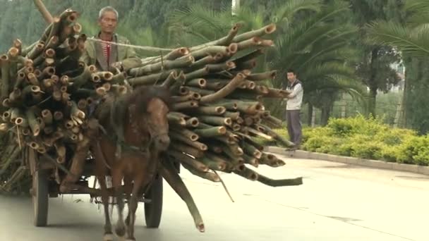 L'homme porte un chariot sur la route du village . — Video