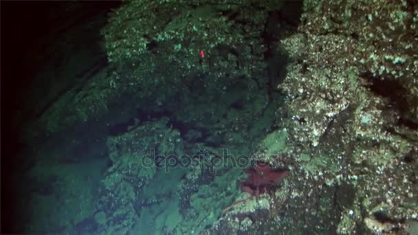 Underwater deep sea mountains from submarine Pacific Ocean Cocos Island. — Stock Video