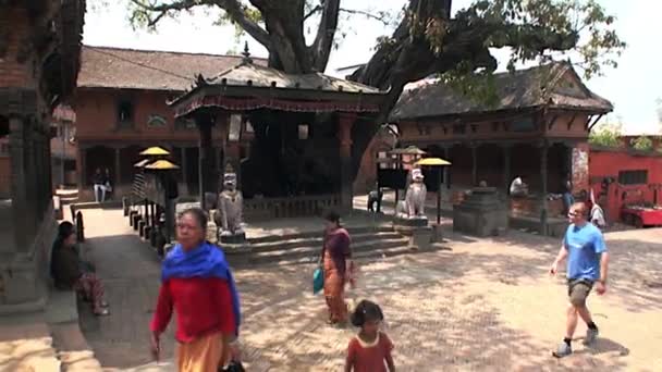 Architectuur en design van historische gebouwen in straten van Kathmandu, Nepal. — Stockvideo