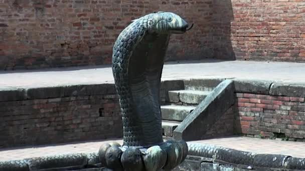 Элемент архитектуры в виде крупного плана кобры в Катманду Непал . — стоковое видео