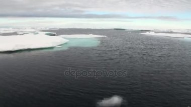 Buzlar Arktik Okyanusu.