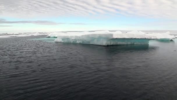 O gelo flutua no Oceano Ártico. Islândia. Close-up . — Vídeo de Stock