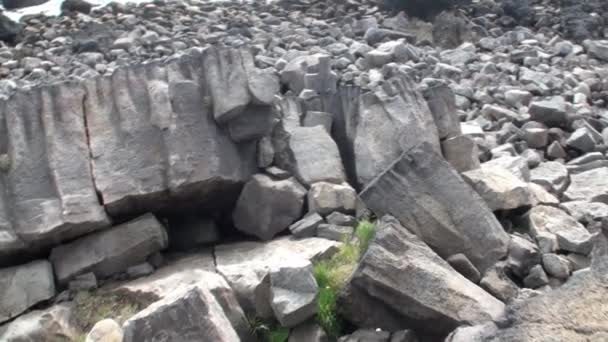 Paysage de la nature sur les rives de l'océan Arctique. Pierres . — Video