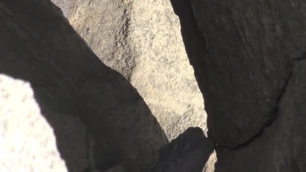 Close-up van het landschap van de natuur op de oevers van de Noordelijke IJszee. Rotsen. — Stockvideo