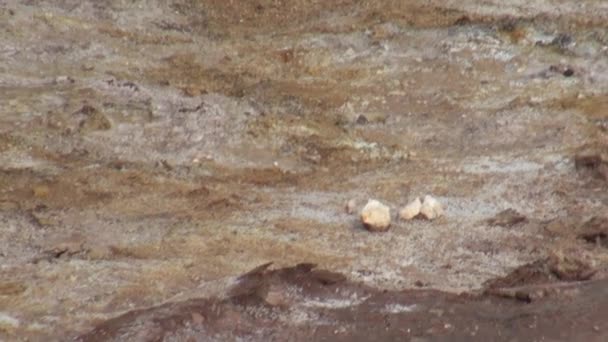 Geysers en montagne sur les rives de l'océan Arctique au Groenland .
