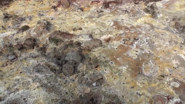 Paysage de geysers en montagne sur les rives de l'océan Arctique au Groenland .