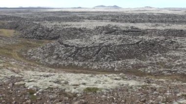 Arktik Okyanusu kıyısında doğa manzara.