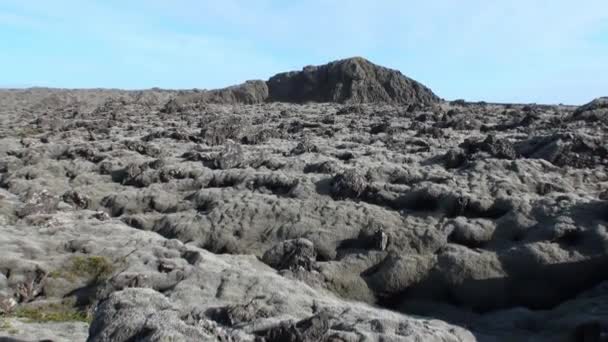 Flora Grönland gökyüzünde bulutlar arka plan üzerinde. — Stok video