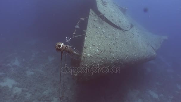 Navio Salem Express naufrágios subaquático no Mar Vermelho no Egito . — Vídeo de Stock