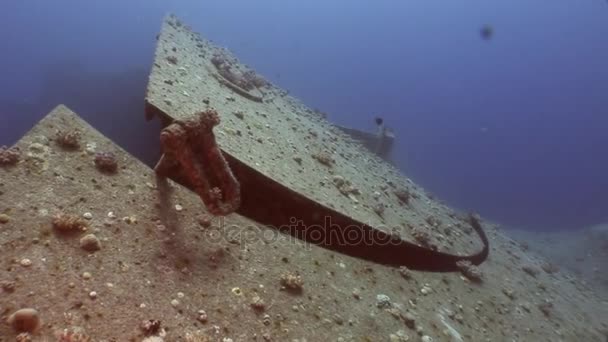 Skeppsvrak Salem Express skeppsvrak under vattnet i Röda havet. — Stockvideo