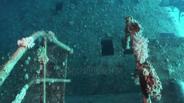 Dalgıçlar, derin suda batık Salem hızlı yüzmek.