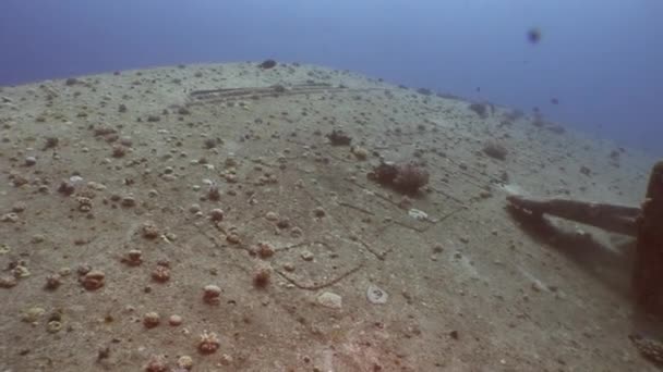 Salem Express shipwrecks underwater in the Red Sea in Egypt. — Stock Video