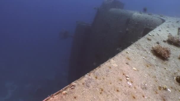 Naufrages sous-marins de Salem Express près de la mer Rouge en Egypte . — Video