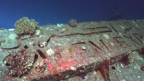 Belettering Salem Express scheepswrakken onderwater in de rode zee in Egypte. — Stockvideo